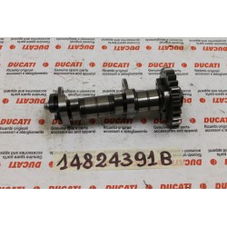 Albero distribuzione...