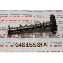 Albero distribuzione...