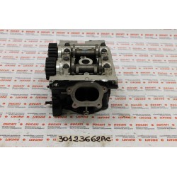 Testa verticale completa...