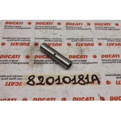 Perno ingranaggio...