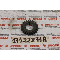 Ingranaggio distribuzione...