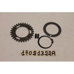 Ricambi pignone...