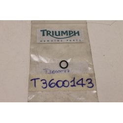 Guarnizione O-ring Seal...