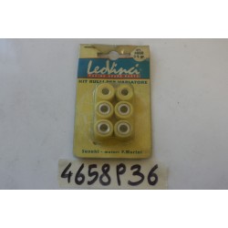 Kit 6 rulli variatore 17X12...