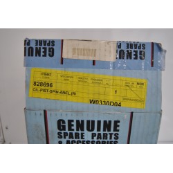 Gruppo termico cilindro e...