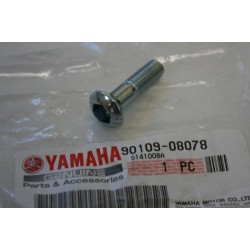 Vite corona ruota...