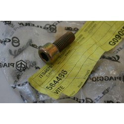 Vite pinza freno Brake...