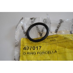 O-ring piastra forcella...