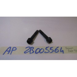 Bulloni pinze freno...