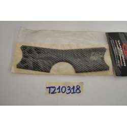 Protezione piastra forcella...