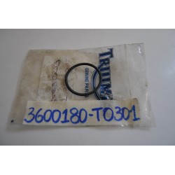 O-ring motorino avviamento...
