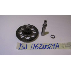 Ingranaggio motorino...