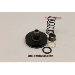 Gruppo pulegge posteriori...