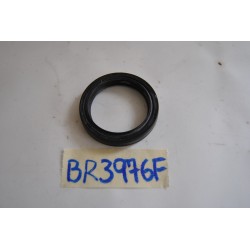 Yamaha Dragstar Paraolio...