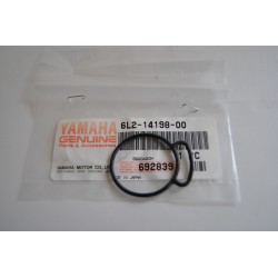 Yamaha Fuoribordo 20HP...