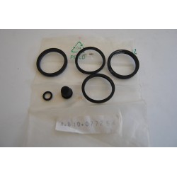 Aprilia Kit revisione pinza...