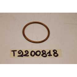 Triumph Daytona Guarnizione...