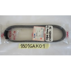 Cinghia trasmissione...