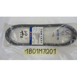 Cinghia trasmissione...