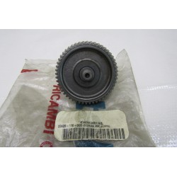 Ingranaggio doppio...