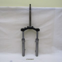 Forcella completa Gabel...