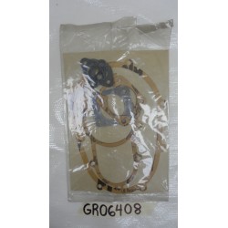 Serie guarnizioni motore...