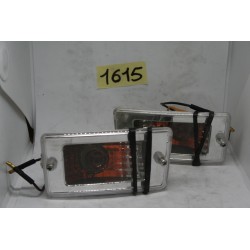 Coppia frecce Blinker...