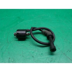 BOBINA CAVO CANDELA PIPETTA...