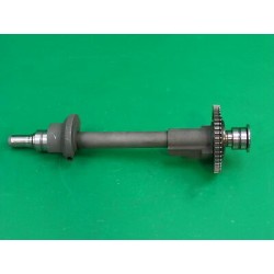 CONTRALBERO MOTORE TRIUMPH...