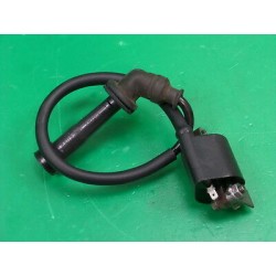 Bobina Bobine accensione...